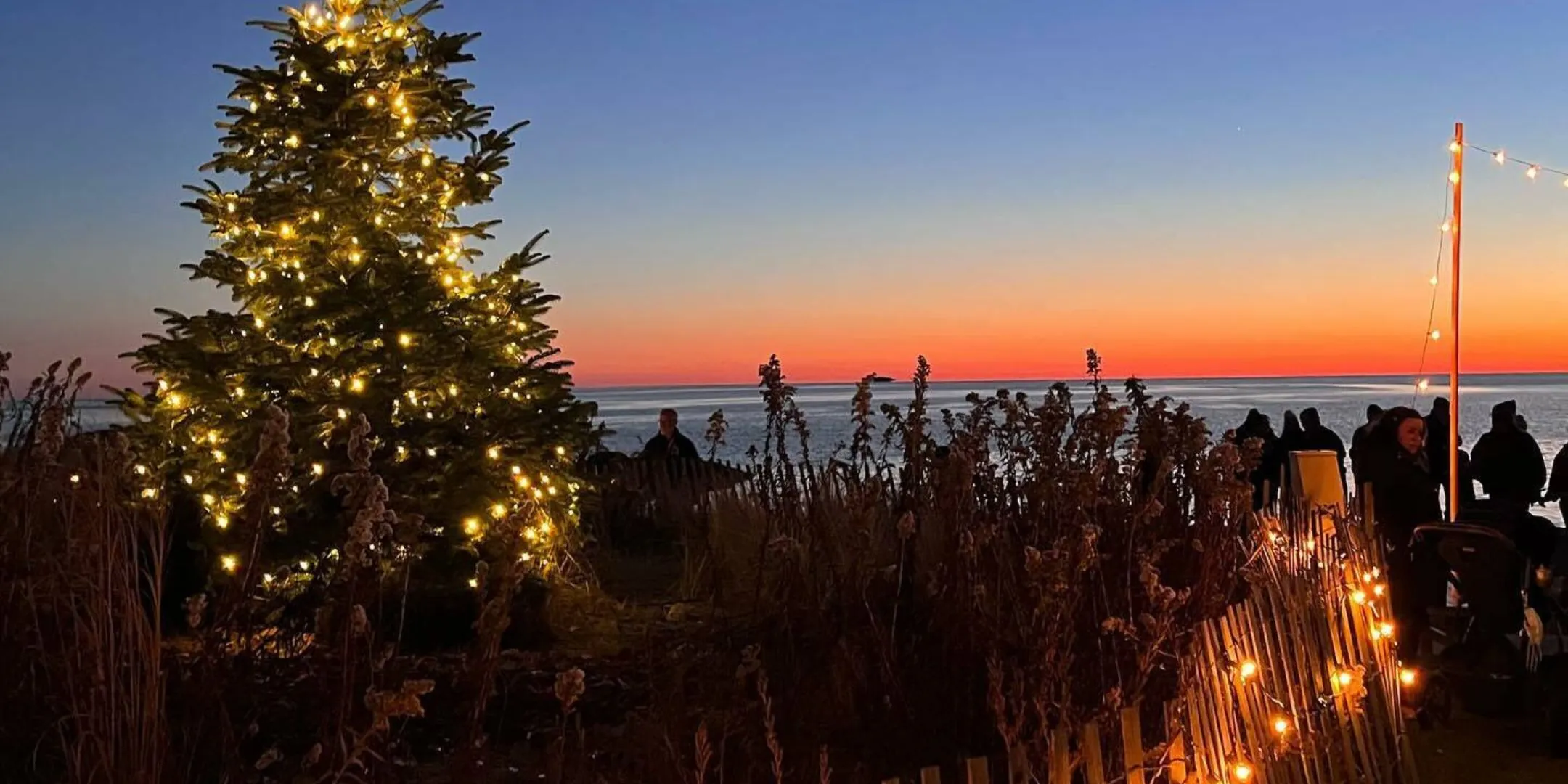 Christmas Tree with lights on beach at Madison Beach Hotel during sunset.