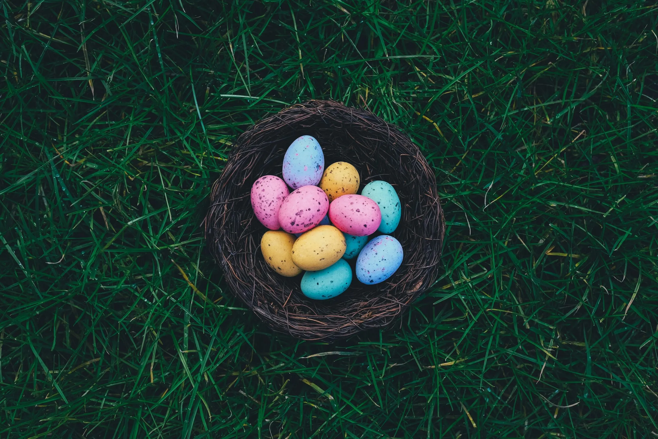 colored easter eggs in a nest
